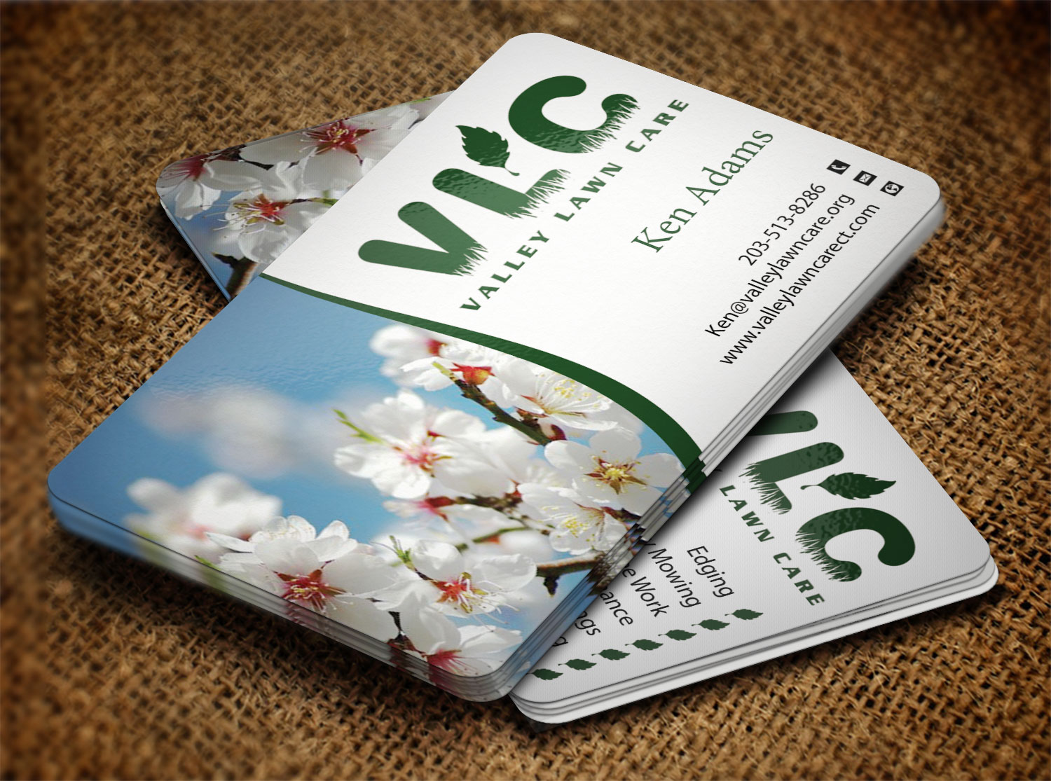 Business Card Design by Lanka Ama for Valley Lawn Care | Design #8511506