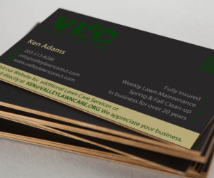 Design de Carte de Visite par chandrayaan.creative pour Valley Lawn Care | Design : #8521350
