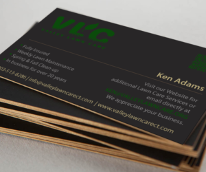 Design de Carte de Visite par chandrayaan.creative pour Valley Lawn Care | Design : #8521351