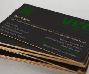 Design de Carte de Visite par chandrayaan.creative pour Valley Lawn Care | Design : #8521353