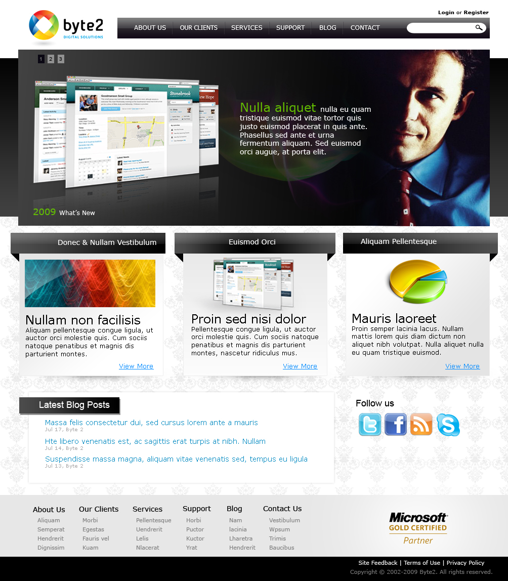 Web Design by jhingrhed for Byte 2 Digital Solutions | Design #14965