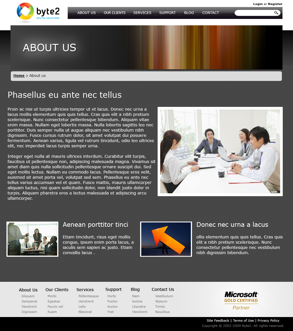 Web Design by jhingrhed for Byte 2 Digital Solutions | Design #15285