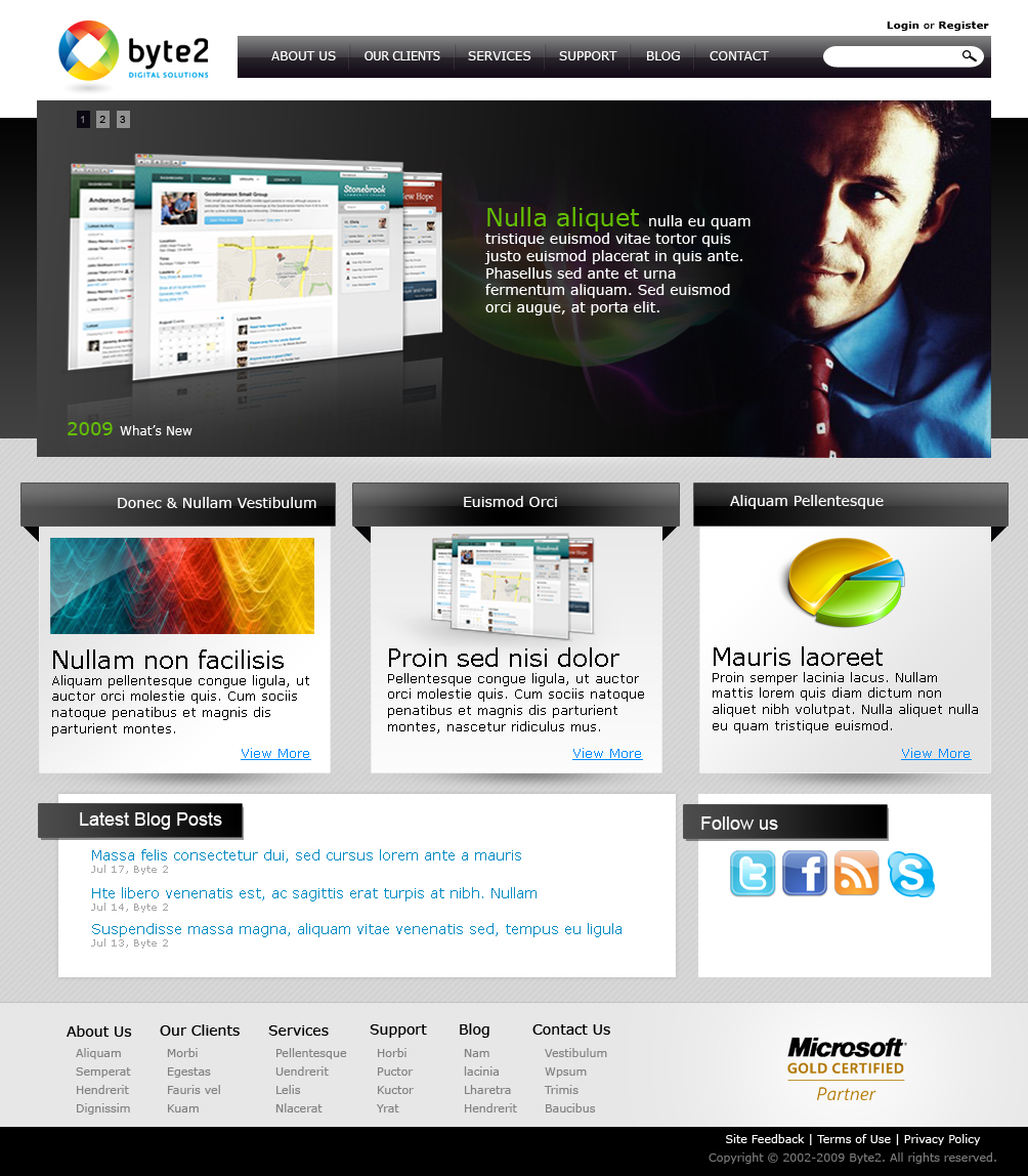 Web Design by jhingrhed for Byte 2 Digital Solutions | Design #15328