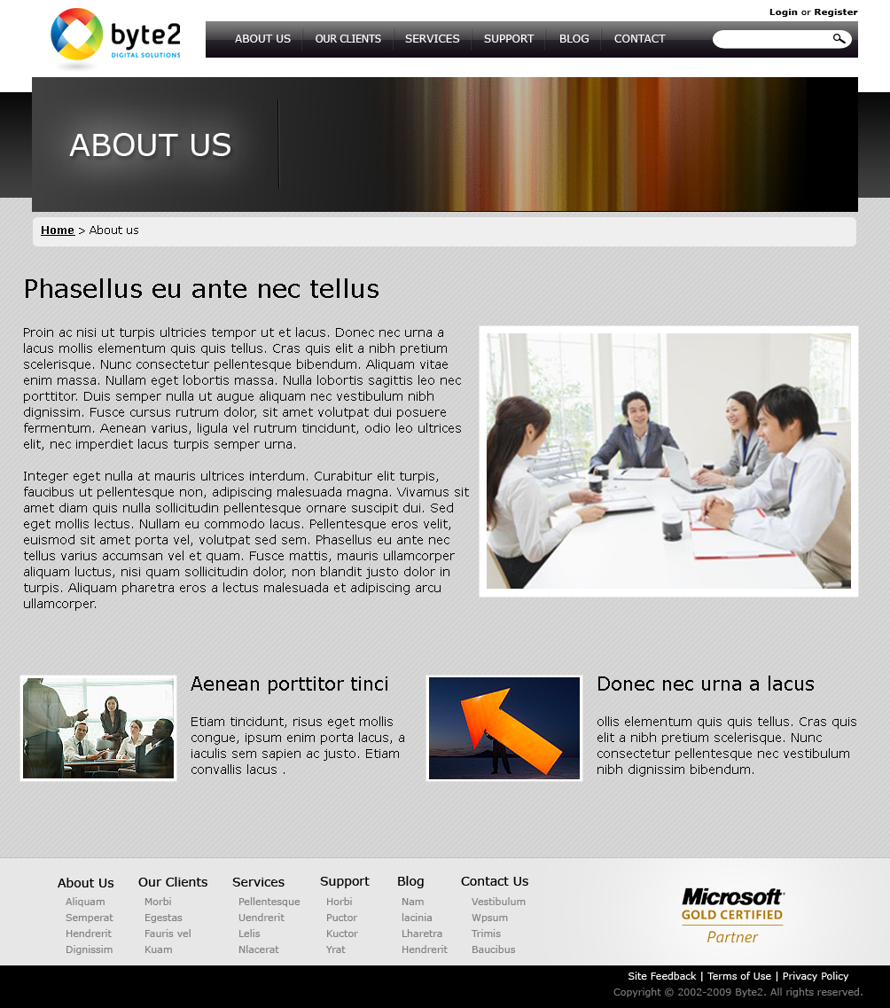 Web Design by jhingrhed for Byte 2 Digital Solutions | Design #15329