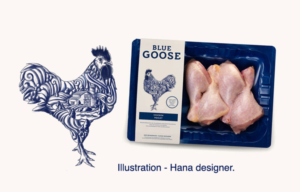 Illustration Design by Hana for this project | Design: #9217121