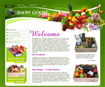 Web Design by Urban Ad