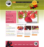 Web Design by Dayiskuan