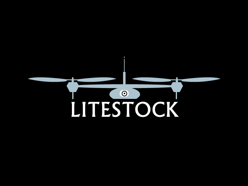 Logo Design by salam1891991 for LiteStock | Design #8529476