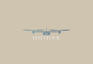 Diseño de Logo por salam1891991 para LiteStock | Diseño: #8529500
