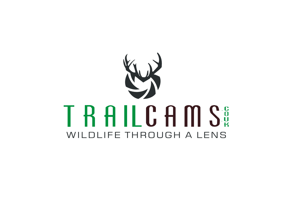 Logo Design by Blueberry for this project | Design #2041340