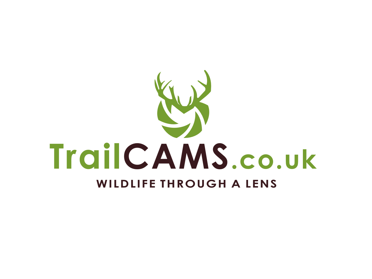 Logo Design by Blueberry for this project | Design #2041344