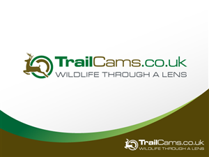 Logo Design by SilverFire