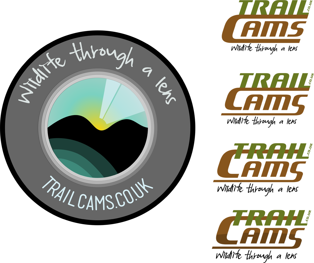 Logo Design by Noxx for this project | Design #1995614