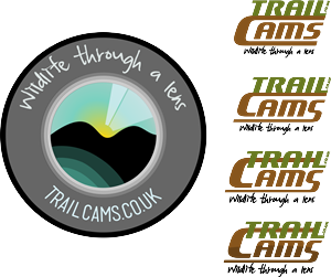 Logo Design by Noxx for this project | Design: #1995614