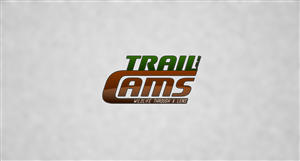 Logo Design by Noxx