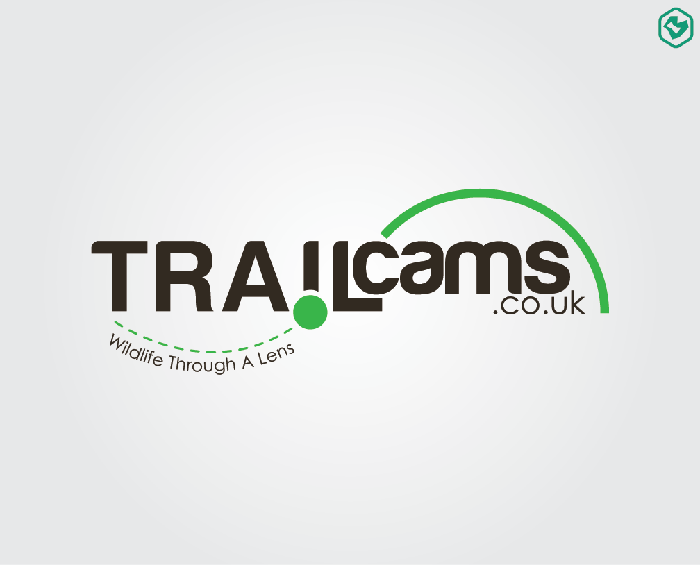 Logo Design by Bolshoi Creations for this project | Design #1998300