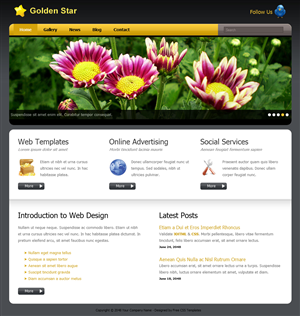 Diseño Web por Umair Shah para este proyecto | Diseño: #2006389