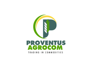 Logo-Design von pivotaldesign.biz für dieses Projekt | Design #8637828
