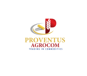 Logo-Design von pivotaldesign.biz für dieses Projekt | Design: #8637845