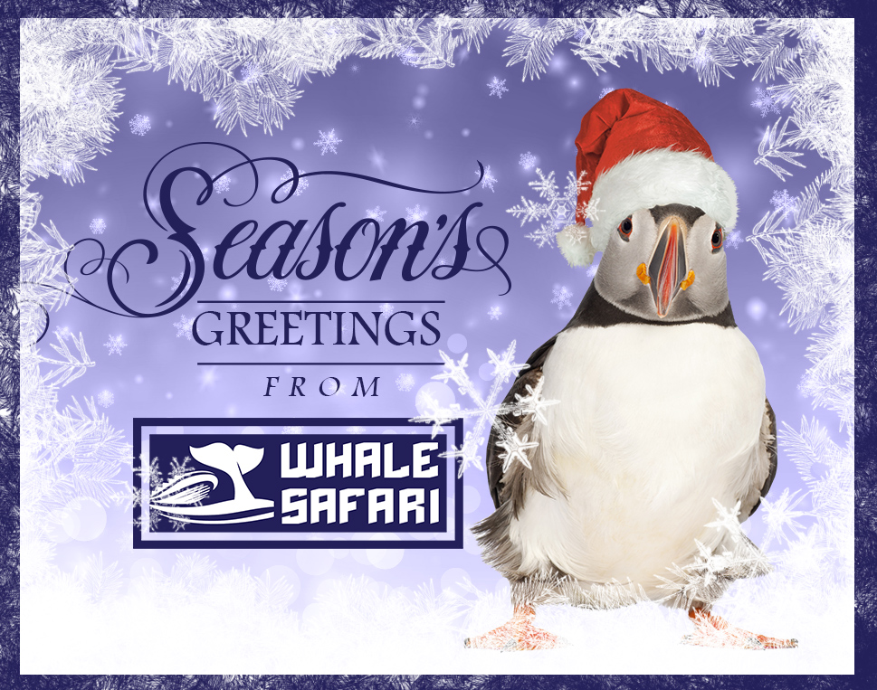 Card Design by Mila@CreativeMotions.com for this project | Design: #8768712