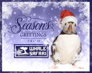 Christmas card for Tourism Company