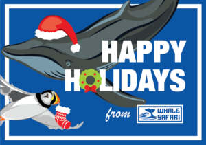 Card Design by Alexandra S. for this project | Design: #8536929