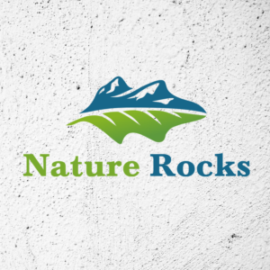 Logo Design by R@vi Pandey