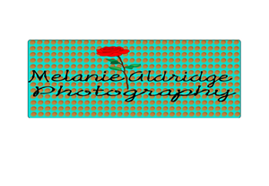 Logo Design by Stephanie Art design