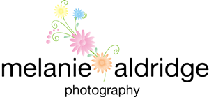 Logo Design by Nordgold