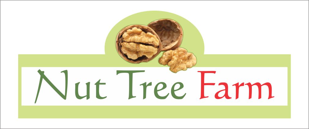 Logo Design by kuki12347 for this project | Design #2014842