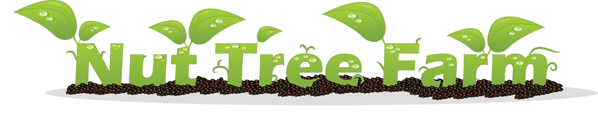 Logo Design by DigiWeb for this project | Design #2027549