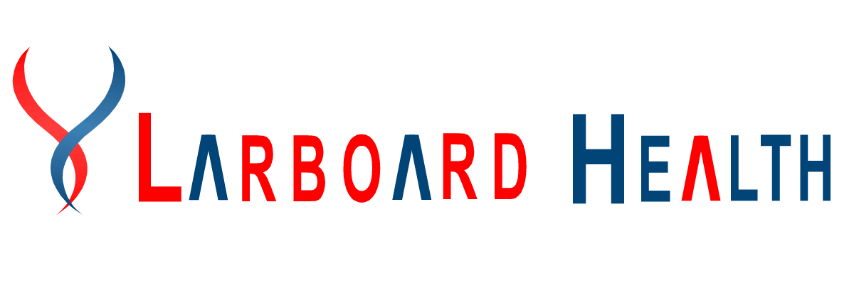 Logo Design by Kriator for Larboard Enterprises LLC | Design #2009297