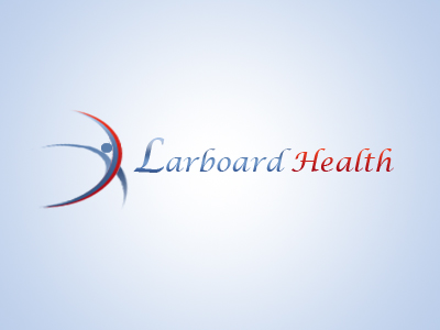Logo Design by DesignerUSK for Larboard Enterprises LLC | Design #2029033