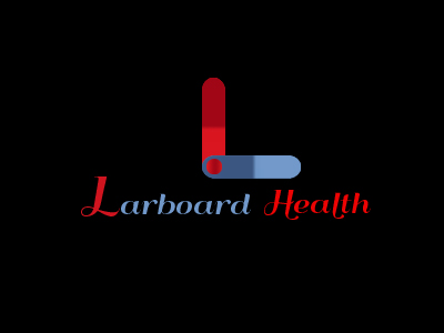 Logo Design by DesignerUSK for Larboard Enterprises LLC | Design #2029974