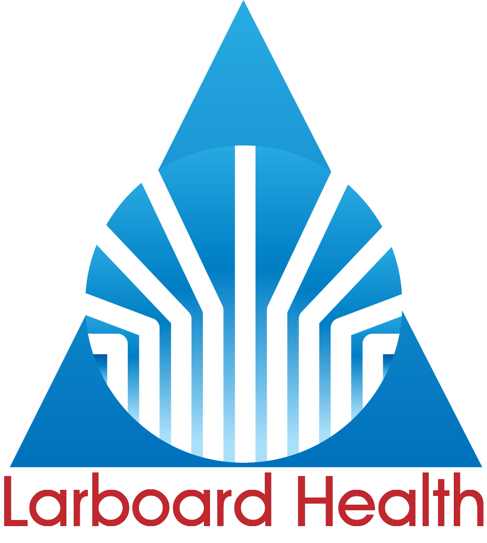 Logo Design by Mohsin MN for Larboard Enterprises LLC | Design #2030170