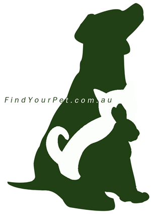 Logo Design by Graphic Ocasions