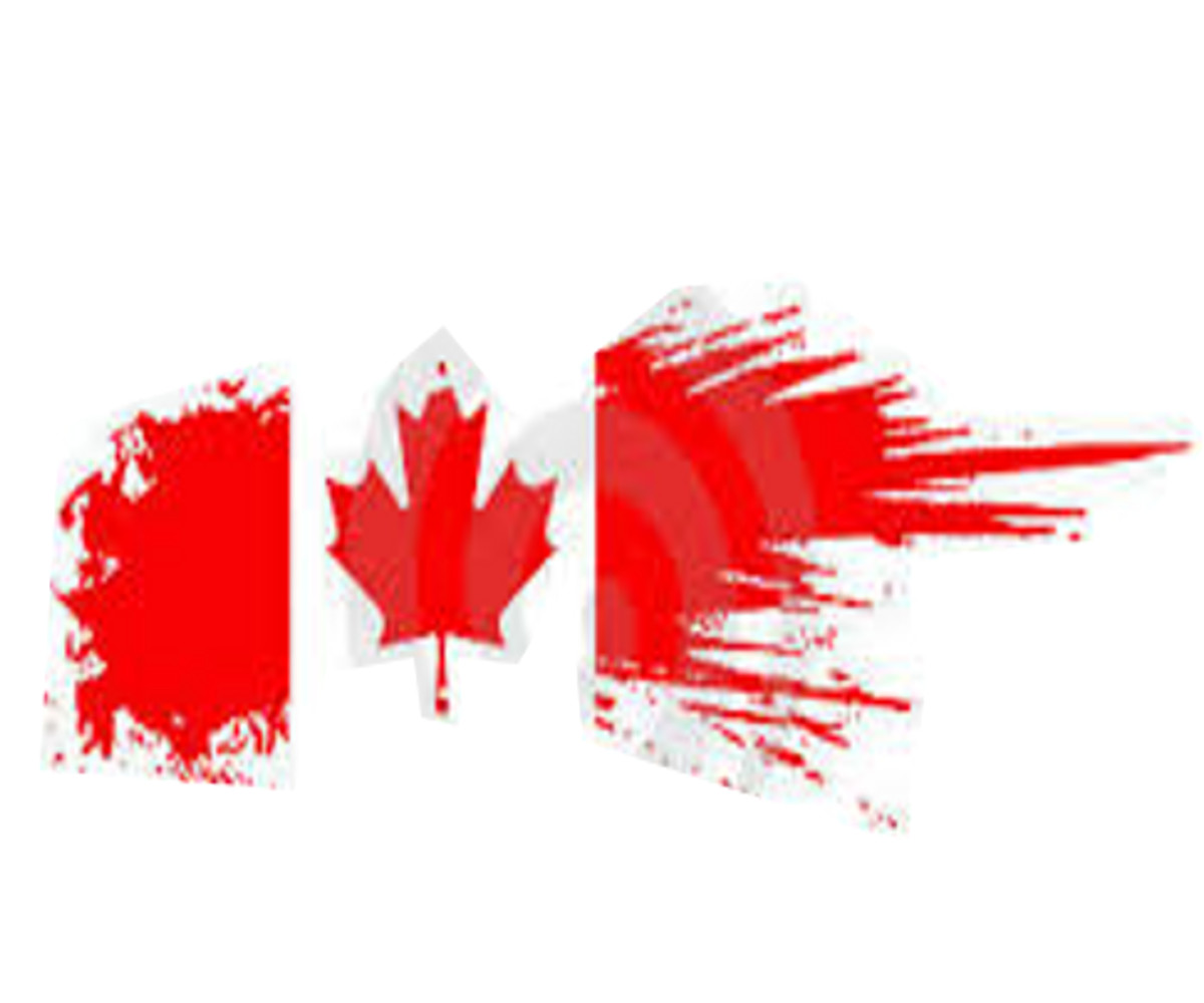 Diseño de Camiseta por bear6mm696 para We Made it Gear | Diseño #2024055