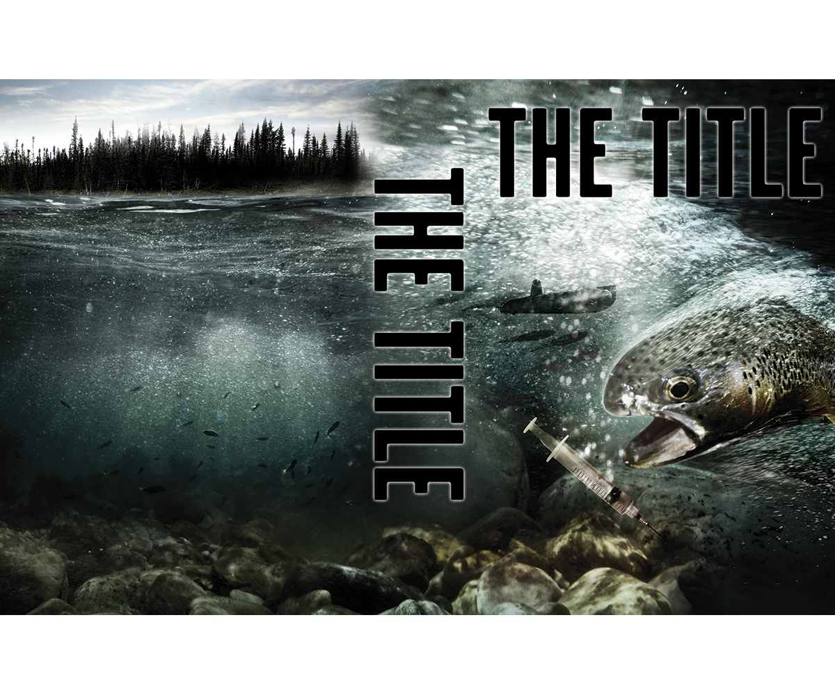 Book Cover Design by David for this project | Design #2020458