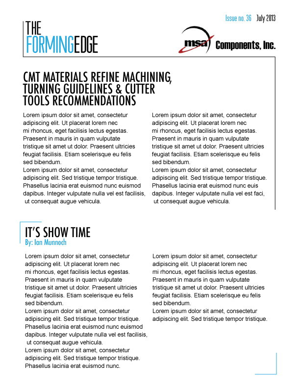 Newsletter-Design von llamagoose für dieses Projekt | Design #2054810