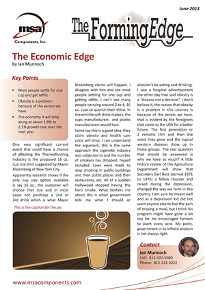 Newsletter Design by NetworkSW Consulting