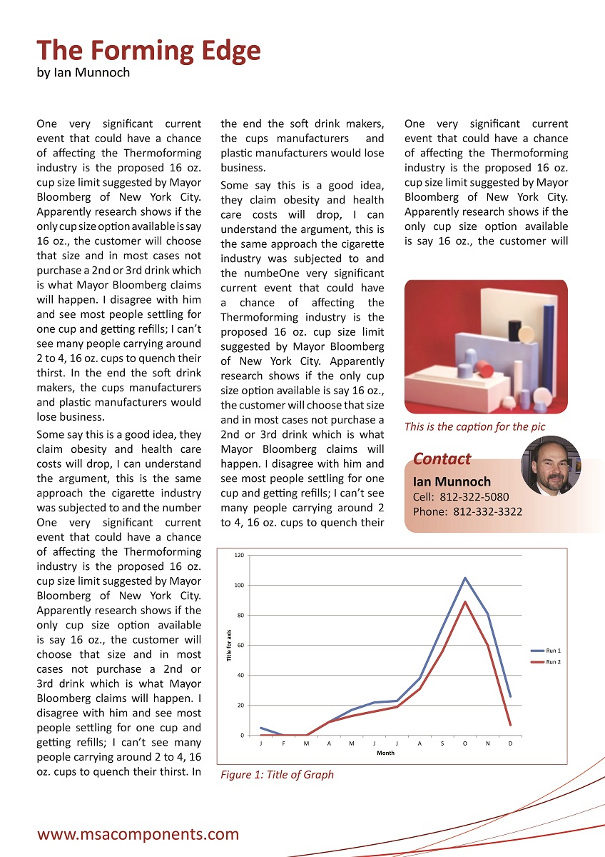 Newsletter Design by NetworkSW Consulting for this project | Design #2049367