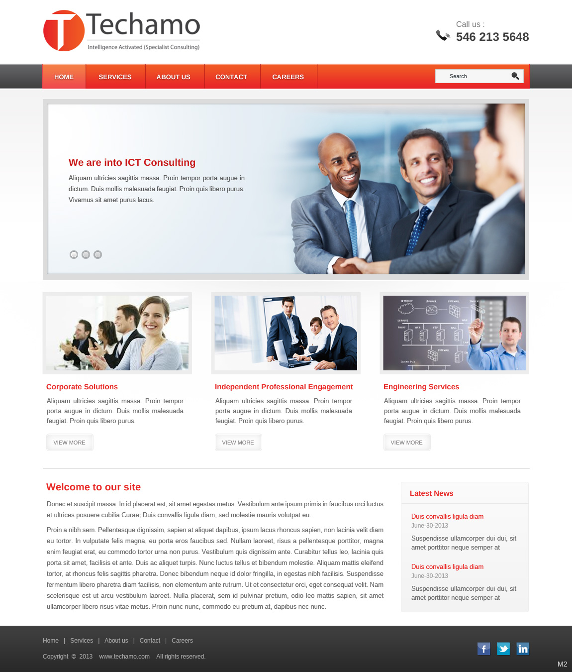 Web Design par pb pour Techamo Pty Ltd | Design #2015775