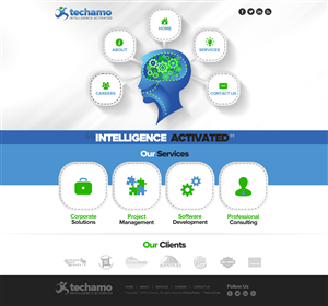 Web Design by TechWise for Techamo Pty Ltd | Design: #2057235