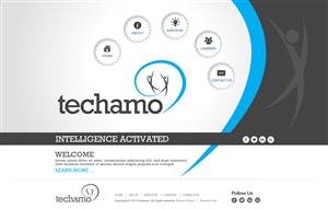 Diseño Web por TechWise para Techamo Pty Ltd | Diseño #2065319