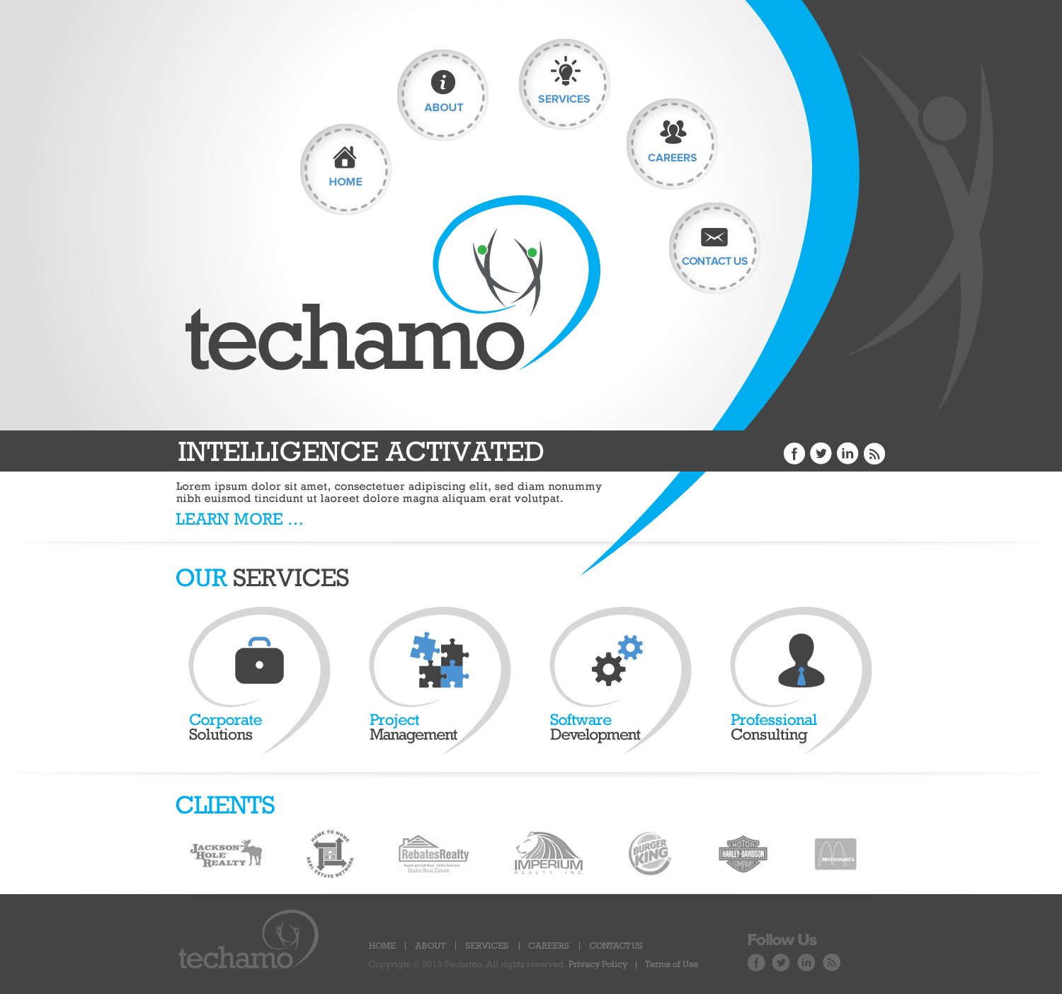 Diseño Web por TechWise para Techamo Pty Ltd | Diseño #2065323
