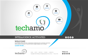 Web Design by TechWise for Techamo Pty Ltd | Design: #2077619
