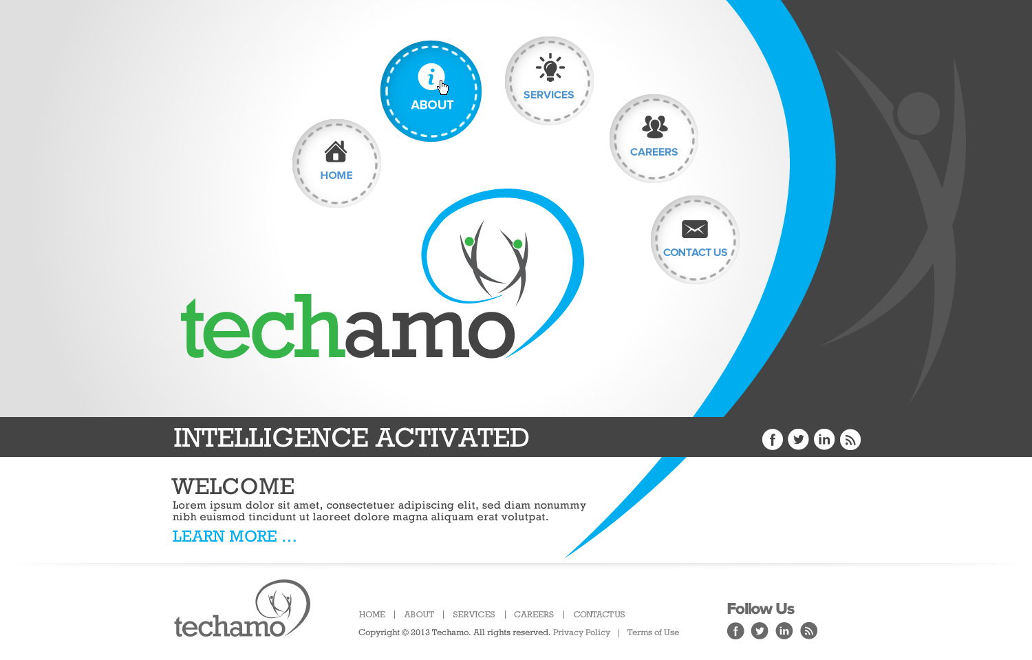 Web Design par TechWise pour Techamo Pty Ltd | Design #2077622