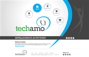 Web Design by TechWise for Techamo Pty Ltd | Design: #2077622