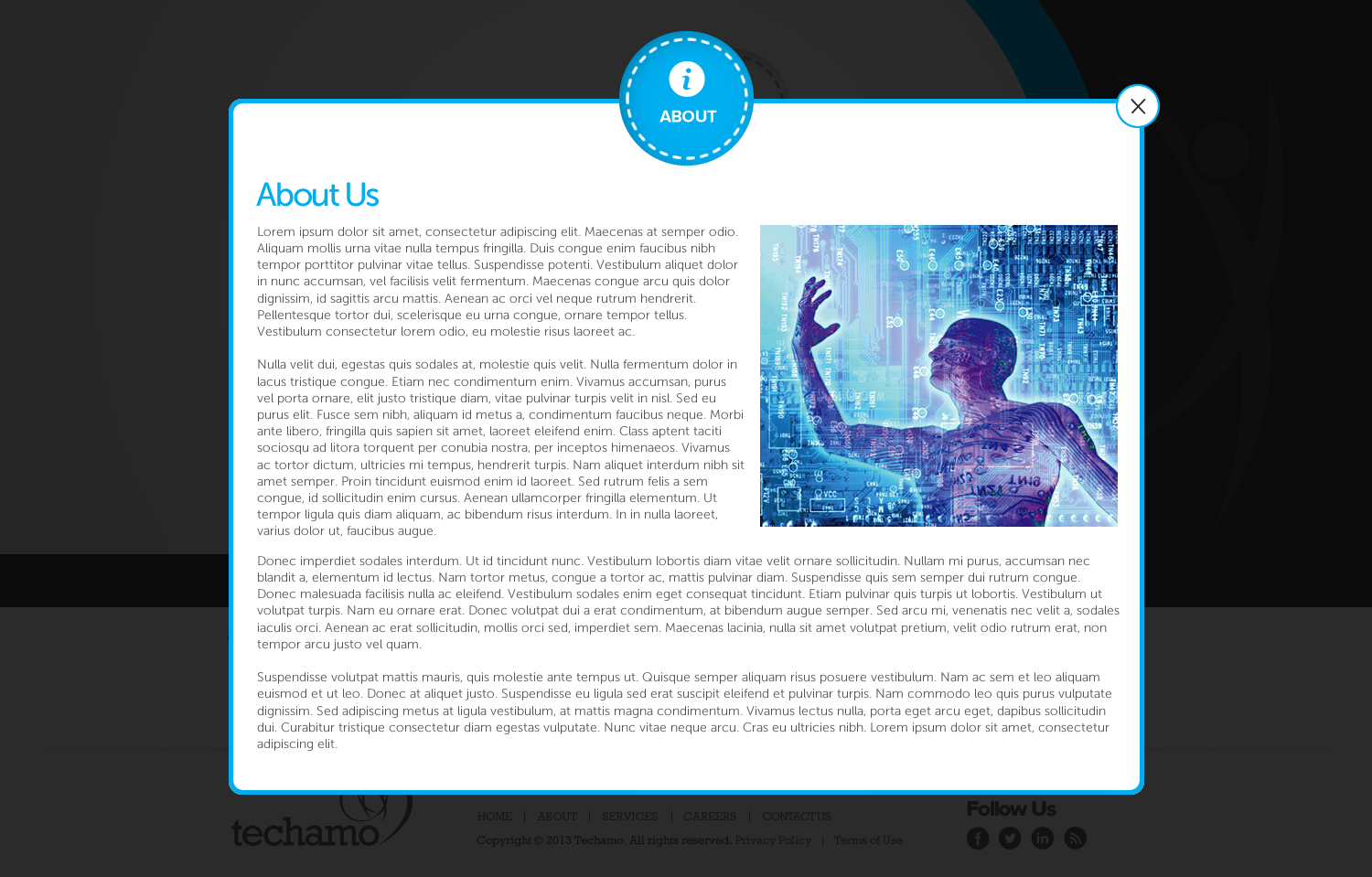 Web Design par TechWise pour Techamo Pty Ltd | Design #2077638