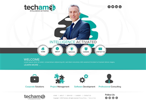 Web Design by TechWise for Techamo Pty Ltd | Design: #2098934